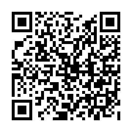 QR 3981ee3