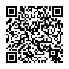 QR 3985849