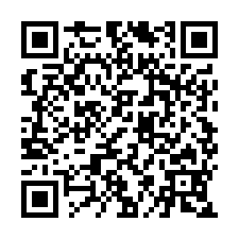 QR 3985b17