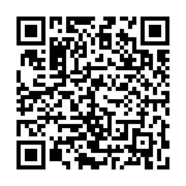 QR 3989198
