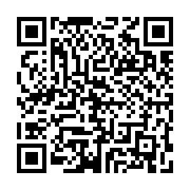 QR 3993330