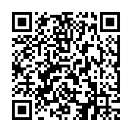 QR 3993fe7