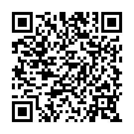 QR 39d533e