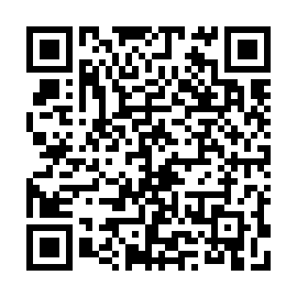 QR 3a65b3b