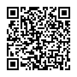 QR 3a95f03