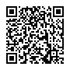 QR 3ab3313