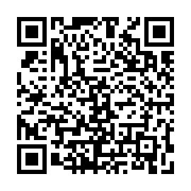 QR 3b11b82