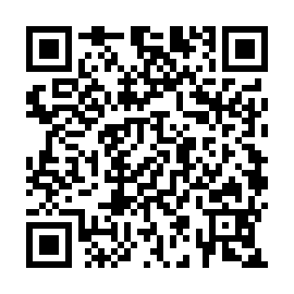 QR 3c028a6
