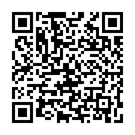QR 3c13b21