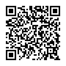 QR 3cdc304