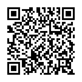 QR 3dd0390