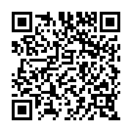 QR 401c291