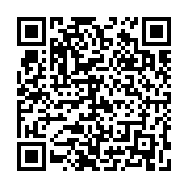 QR 4024593