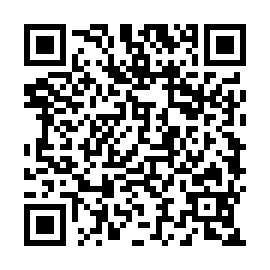 QR 4033084