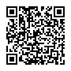 QR 4036517