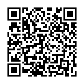 QR 4050733