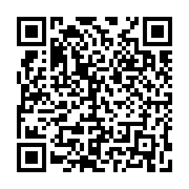QR 410a533