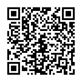 QR 4110065