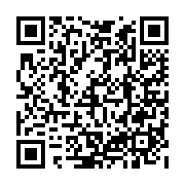 QR 4113385