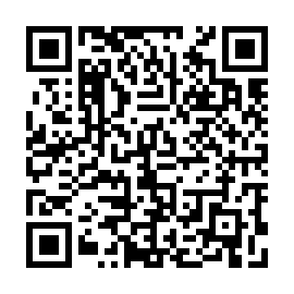 QR 4113dd6
