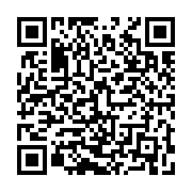 QR 4119a28