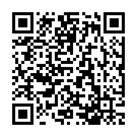 QR 411b947