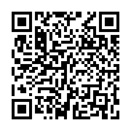 QR 411c2d9