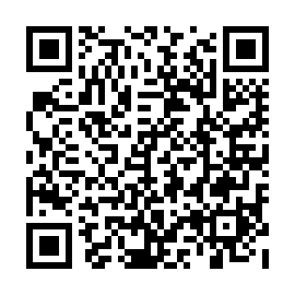 QR 411e4e2
