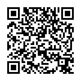 QR 411e729