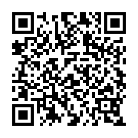 QR 4124462
