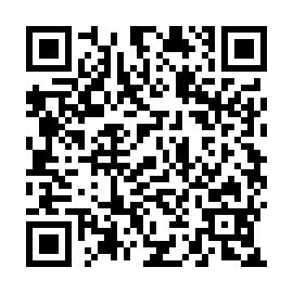 QR 412863b