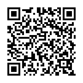QR 4184311