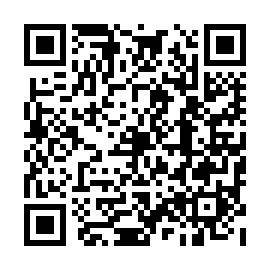 QR 41dca31