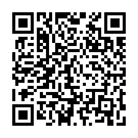 QR 4234029