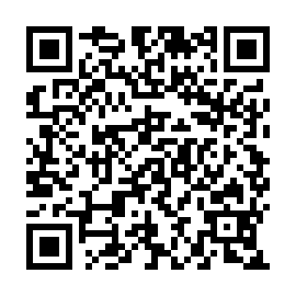 QR 4295607