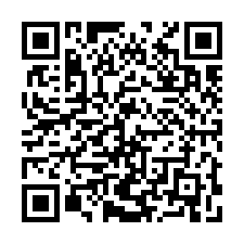 QR 4313a28