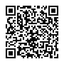 QR 4323411