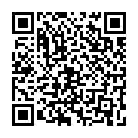 QR 4463344