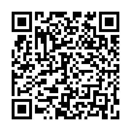 QR 4478e33