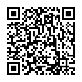 QR 4493053