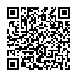 QR 451a538