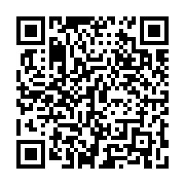 QR 4520639
