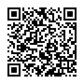 QR 4533687