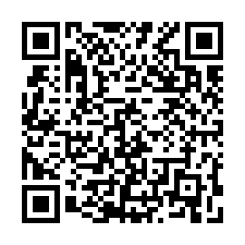 QR 453a882