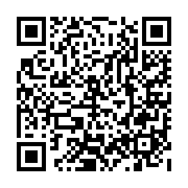 QR 453b833