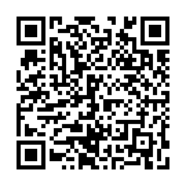 QR 4550313