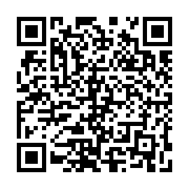 QR 4605233