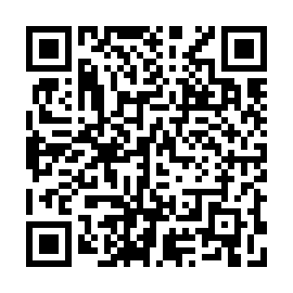 QR 461b299