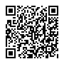 QR 461c3e3