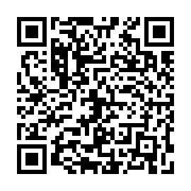 QR 4638511